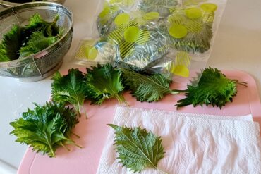 夏の半衿のこと